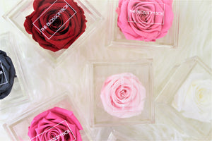 Crystal Collection | Single Eternity Rose Box