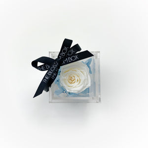 Crystal Collection | Single Eternity Rose Box