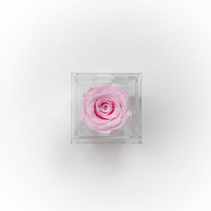 Crystal Collection | Treasure Rose Box (4/5 roses)
