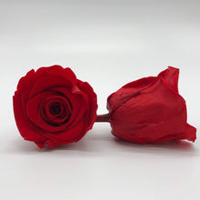 Load image into Gallery viewer, Single Stem Rose