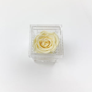 Crystal Collection | Nine Rose Box