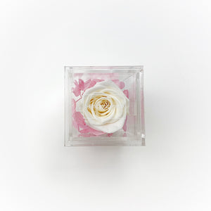 Crystal Collection | Treasure Rose Box (4/5 roses)