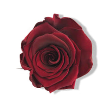 Load image into Gallery viewer, Crystal Collection | Single Eternity Rose Box